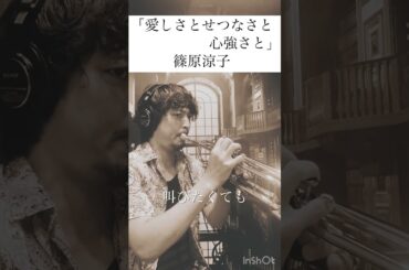 【愛しさとせつなさと心強さと】篠原涼子