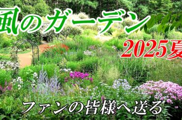 【風のガーデン】２０２５夏～風のガーデンファンに贈る！！「北海道 富良野より」４Ｋ