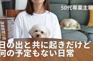 50代専業主婦と犬2匹の暮らしのvlog / 5時から始まる日常 / トイプードル多頭飼い / 犬のいる暮らし