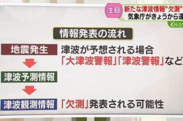 【解説】津波「欠測」情報　機器の故障など何らかの理由　大きな津波が来襲している可能性も