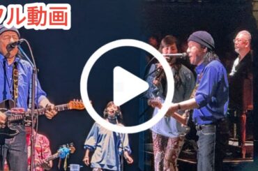 【衝撃】山下達郎フジロック初出演！竹内まりやサプライズ登場で奇跡の夫婦共演！
