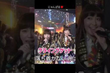 【にゃんぱる】フライングゲット 【ぱるる部分のみ】 #島崎遥香 #ぱるる #AKB48 #渡辺麻友 #小嶋陽菜 #宮脇咲良 #横山由依 #柏木由紀 #高橋みなみ #松井珠理奈 #Shorts