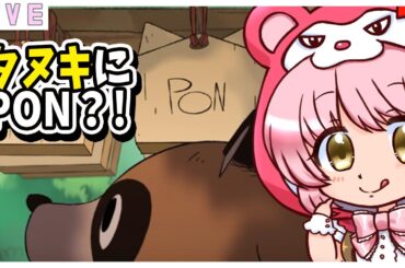【 TANUKI Pon's Summer 】やります🌷 タヌキなゲーム見つけちゃったｗ  #vtuber