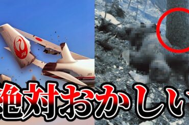 【日航123便墜落】遺体と遺物が語る事件の真実とは【JAL 日本航空 日航123便墜落事故 ゆっくり解説】