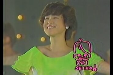 fantastic concert  / 松田聖子