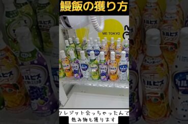 #ゲーセン #クレーンゲーム #攻略 #うなぎ #鰻 #土用の丑の日 #カルピス #一撃  TikTok