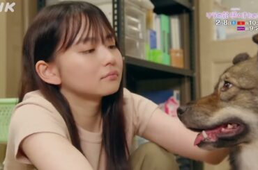 #リラの花咲くけものみち #山田杏奈