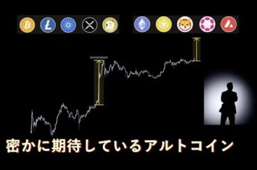 今後大きく飛躍するかもしれないアルトコイン2選【BNB ADA】