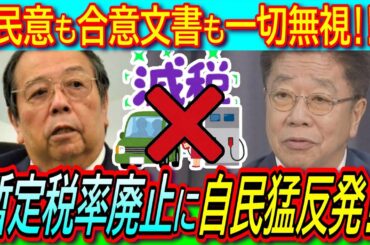 【絶許】ガソリン暫定税率廃止に「財源どうすんの？」石破首相に続き加藤財務大臣、村上総務大臣ら自民党が猛反発！【参院選/幹事長合意/補助金/代替案】