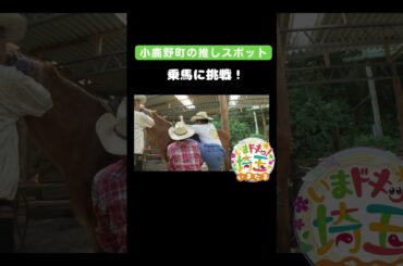 #馬#乗馬#乗馬体験#牧場#癒し#競馬#夏休み#動物#クリオステーブル#カウボーイ#ウエスタン#ハット#景色#観光#小鹿野町#松井咲子#小堺翔太#才木玲佳#いまたま#埼玉県#shorts