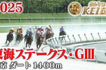 【東海ステークス・GⅢ】東海S 中京 ダート 1400m 2025 レース  【みんなのKEIBA】