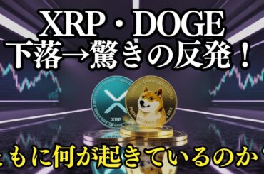 XRP・DOGEが謎の反発！何が起きているのか？クジラ・送金・テクニカルから徹底分析！