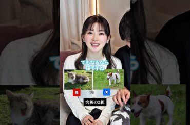 【究極の2択】ゆりこ先生と浜辺美波どっちとる？