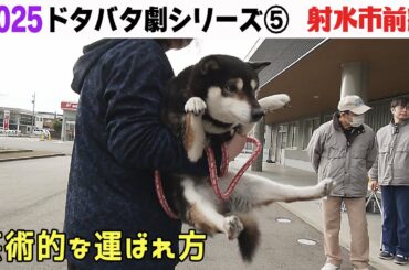 2025狂犬病予防注射会場のドタバタ劇⑤ 射水市前編