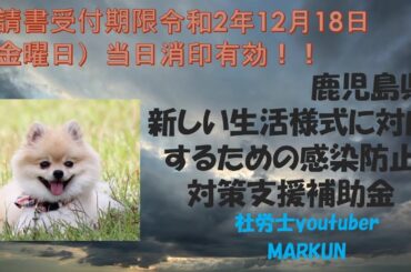 鹿児島県新しい生活様式に対応するための感染防止対策支援補助金