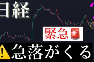 🚨暴落警戒してください。日経平均株価/Ni225