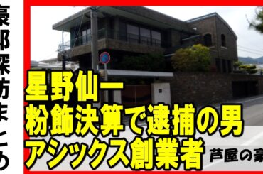 星野仙一（阪神タイガース、中日ドラゴンズ）・アシックス創業者・鬼塚喜八郎・ミズノ創業家・おもてなし豪邸・粉飾決算で逮捕の男・芦屋川沿いの大豪邸　#不動産 #不動産投資 #物件紹介#高級住宅街