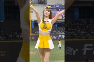 250801 象vs猿 #桃子 #菊池桃子 #中信兄弟 #中信ブラザーズ #passionsisters #パッションシスターズ #cheerleader #台湾チア
