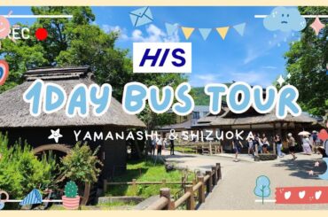 【🚌HISバスツアー】日帰り山梨&静岡旅・風景やグルメご紹介
