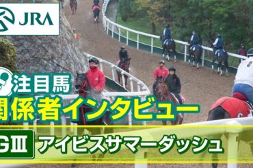 【注目馬 関係者インタビュー】2025年 アイビスサマーダッシュ｜JRA公式