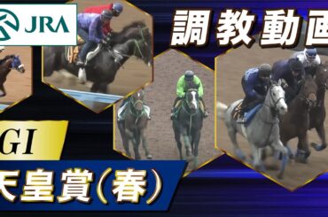 【調教動画】2025年 天皇賞（春）｜JRA公式