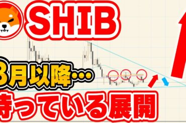 【SHIB(シバ犬)】8月以降に待っているシナリオについて！チャート徹底分析＆仕込むタイミング【仮想通貨】【BTC】【ビットコイン】【SHIB 最新情報】