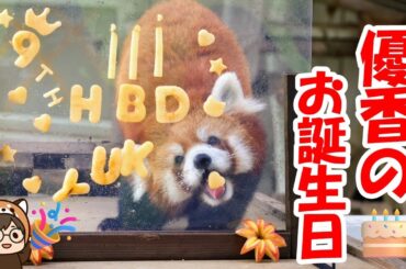 秋吉台サファリランドのアイドル優香ちゃんのお誕生日会に行ってきました！