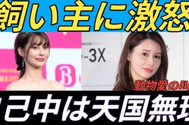 ダレノガレ明美　自己チューな飼い主に怒り「こういう人間は絶対に天国には行かないで