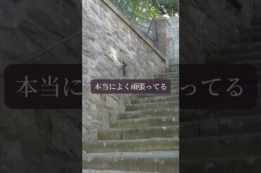【星読み】言葉の魔法で　未来を変える　　 8月4日（月）今日の星読み #毎日投稿 #ghibli #相手の本音 #青蘭ひとみ #スピリチュアル