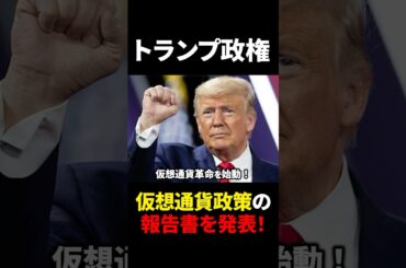 【ビットコイン(BTC)】トランプ政権が仮想通貨政策報告書を発表！【仮想通貨】