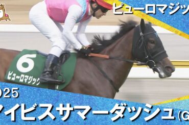 2025年 アイビスサマーダッシュ(ＧⅢ)  ピューロマジック【カンテレ公式】