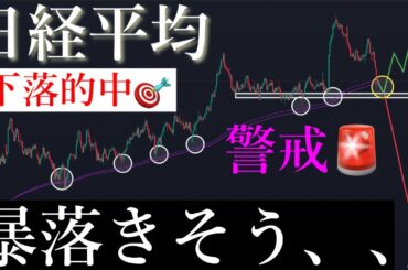 🎯3分解説！暴落的中！今週さらに落ちるか。日経平均株価/Ni225