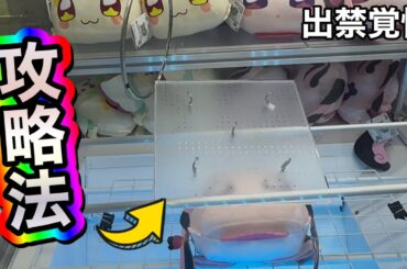 【見つかったら怒られる❓】フックに引っ掛けるクレーンゲームの攻略法❗️#ufoキャッチャー