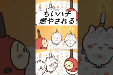 【ちいかわアニメ】お誕生日に燃やされる... #ちいかわ最新話 #ちいかわ誕生日 #ちいかわハチワレ