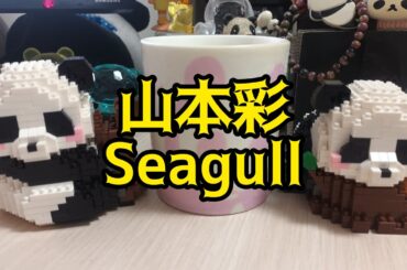 山本彩：Seagull【歌ってみた】 #cover #歌ってみた #外国人