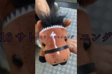 皐月賞予想動画！！ #競馬 #競馬予想