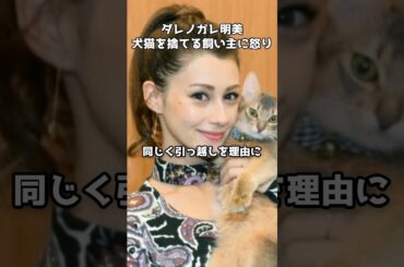 ダレノガレ明美が激怒『一生動物飼うな』　#shorts #ダレノガレ明美 #動物愛護 #保護犬 #保護猫 #NPO