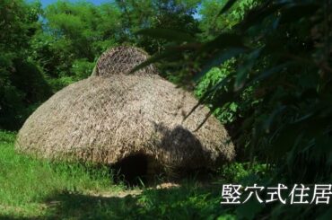 琉球サウダーヂ　#598 7月①チガヤと石の家