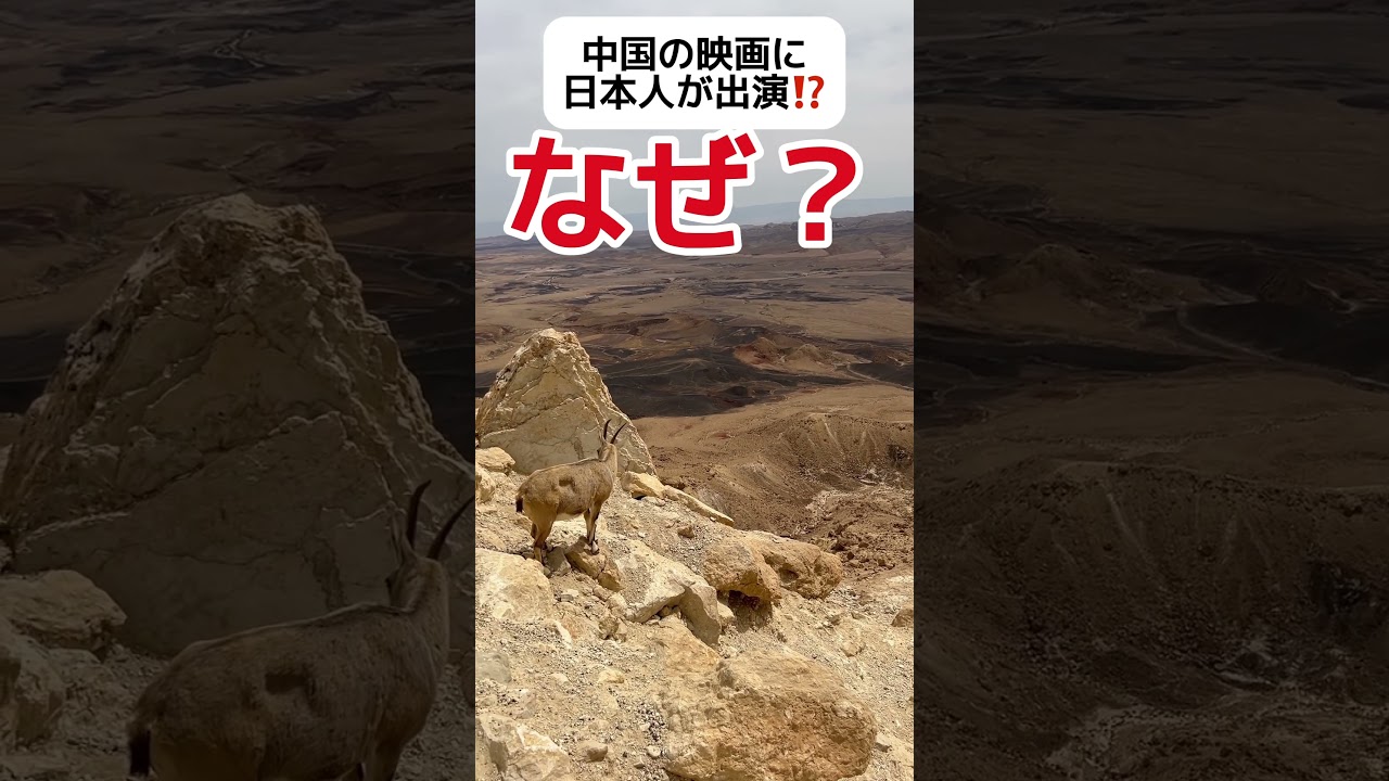 【なぜ？】中国の映画に日本人が出演… #shorts