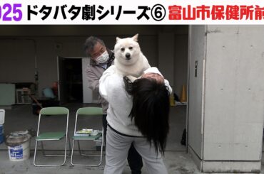 2025狂犬病予防注射会場のドタバタ劇⑥ 富山市保健所前編