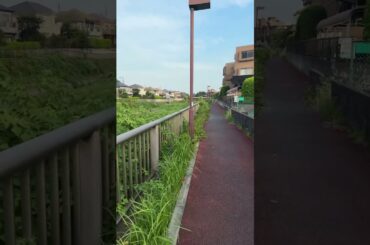 ⑦ 🏞️ 君ノカケラ 夏目友人帳 中 孝介 宮本　笑里 いしわたり淳治 遠藤慎吾 #君ノカケラ #夏目友人帳 #中孝介 #宮本笑里 #いしわたり淳治 #遠藤慎吾