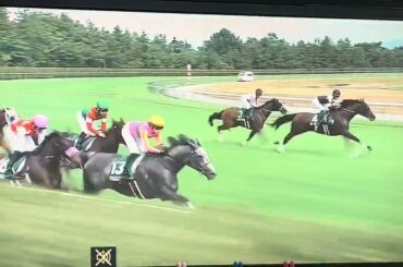 【競馬実況動画2025】第25回アイビスサマーダッシュ　ピューロマジック（クリストフ・ルメール）