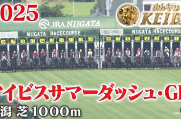 【アイビスサマーダッシュ・GⅢ】アイビスSD 新潟 芝 1000m 2025 レース  【みんなのKEIBA】