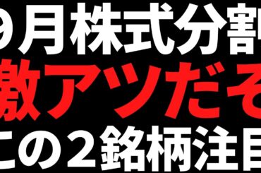 ９月株式分割であの優良株に手が届く！おすすめこの２銘柄