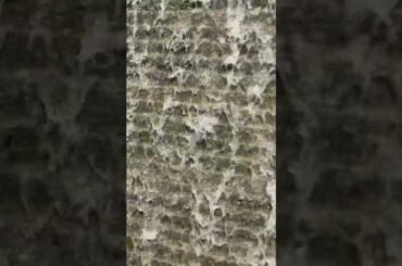 ⒌👥君ノカケラ 夏目友人帳 中 孝介 宮本　笑里 いしわたり淳治 遠藤慎吾 #君ノカケラ #夏目友人帳 #中孝介 #宮本笑里 #いしわたり淳治 #遠藤慎吾