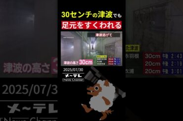 【実験映像】30センチの津波に足をとられる瞬間　成人男性でも立ち上がることは困難　#津波#実験#1ｍ#30cm#tsunami