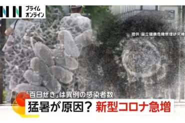 猛暑が原因で免疫力低下？「百日咳」と「新型コロナ」感染者数が異例の急増…エアコン利用などで換気不良や粘膜乾燥