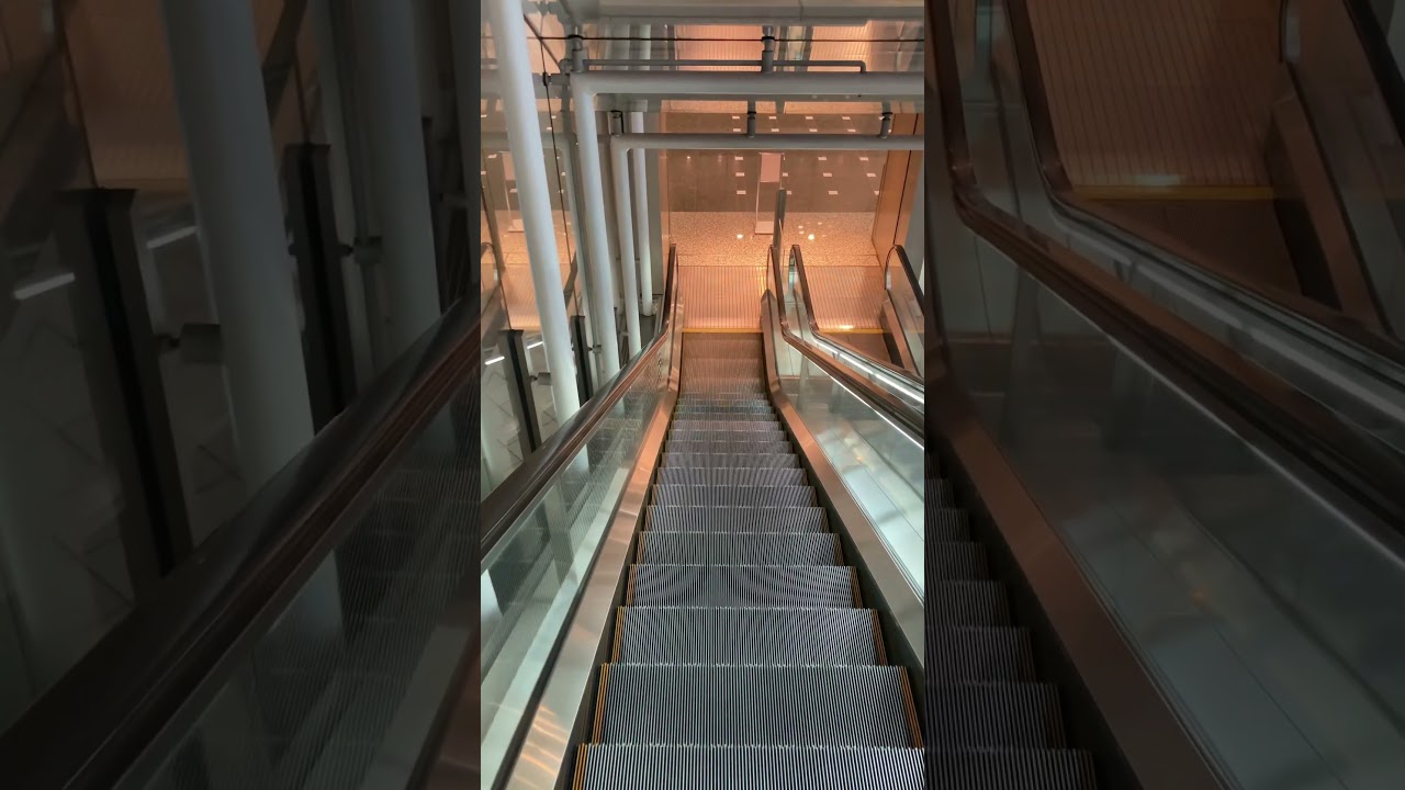 âð¥åãã«ã±ã© å€ç®å人垳 äž åä» å®®æ¬ãç¬é ãããããæ·³æ²» é è€æ
åŸ #åãã«ã±ã© #å€ç®å人垳 #äžåä» #å®®æ¬ç¬é #ãããããæ·³æ²» #é è€æ
åŸ âð¥åãã«ã±ã© å€ç®å人垳 äž åä» å®®æ¬ãç¬é ãããããæ·³æ²» é è€æ
åŸ #åãã«ã±ã© #å€ç®å人垳 #äžåä» #å®®æ¬ç¬é #ãããããæ·³æ²» #é è€æ
åŸ