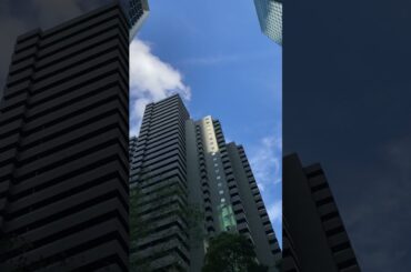 ⒉👥君ノカケラ 夏目友人帳 中 孝介 宮本　笑里 いしわたり淳治 遠藤慎吾 #君ノカケラ #夏目友人帳 #中孝介 #宮本笑里 #いしわたり淳治 #遠藤慎吾