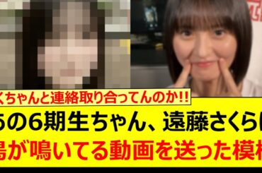 あの6期生ちゃん、遠藤さくらに鳥が鳴いてる動画を送った模様www【乃木坂46・猫舌SHOWROOM・鈴木佑捺・筒井あやめ・乃木坂配信中・乃木坂工事中】